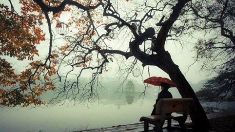 Thời tiết ngày 15/12: Hà Nội sáng sớm có sương mù và rét, ngày nắng