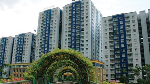 Giám đốc Chứng khoán Bản Việt làm thành viên Hội đồng quản trị Năm Bảy Bảy