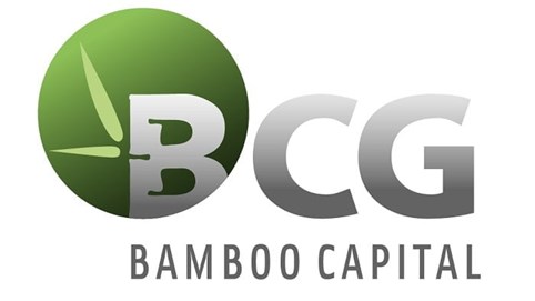 Bamboo Capital (BCG) đăng ký bán 7 triệu cổ phiếu của công ty sản xuất gỗ Nguyễn Hoàng giá 10.000 đồng/đơn vị