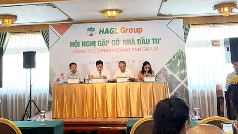 Hoàng Anh Gia Lai (HAG) sắp bán tiếp Bệnh viện Hoàng Anh Gia Lai, xóa lỗ lũy kế là mục tiêu hàng đầu