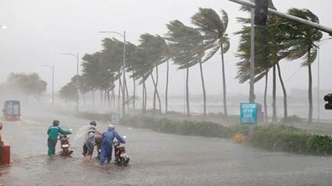 Áp thấp nhiệt đới đã mạnh lên thành bão số 14, còn tiếp tục mạnh hơn