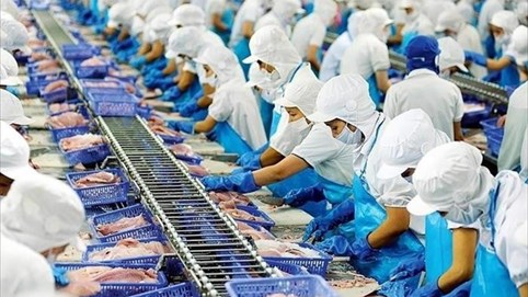 Vĩnh Hoàn (VHC) ghi nhận doanh thu tại thị trường Mỹ suy giảm trong tháng 11