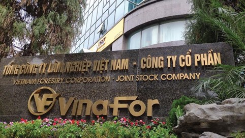 Vinafor (VIF) ước lãi sau thuế đạt 325 tỷ đồng năm 2024