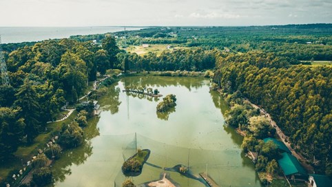 Thú tiêu tiền xa xỉ của giới siêu giàu thế giới: Chi hàng triệu USD để xây sở thú, mua hầm rượu, mở bảo tàng