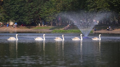 Hà Nội nghiên cứu tổ chức phố đi bộ hồ Thiền Quang
