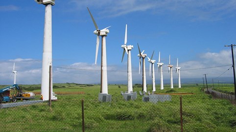 Ninh Thuận hủy kế hoạch đấu thầu nhà máy điện gió 3.100 tỷ đồng 