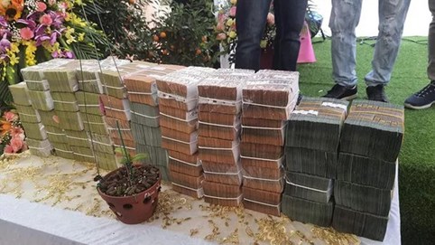 Người bán hoa lan đột biến phải kê khai nộp thuế