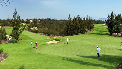 Dự án sân golf 174 ha của FLC ở Gia Lai: Không có chuyện phá rừng