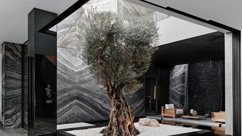 Trào lưu mới của đại gia Mỹ: Bứng cây cổ thụ về tư gia, tiền thuê trực thăng và sà lan vận chuyển lên tới hàng trăm ngàn USD