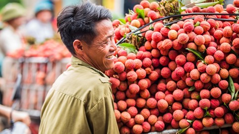 Bắc Giang thu hơn 6.800 tỷ đồng từ vụ vải thiều năm 2021