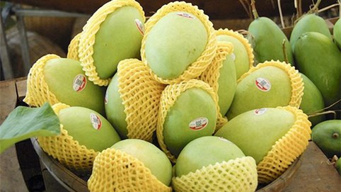 Mỹ tăng nhập khẩu xoài Việt Nam
