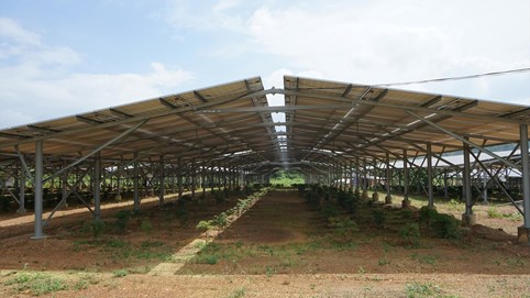 Tràn lan dự án điện mặt trời ở Tây Nguyên, Thủ tướng chỉ đạo Bộ Công thương vào cuộc xử lý 