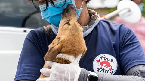 Four Paws đóng cửa một lò mổ cung cấp thịt chó lớn ở Campuchia