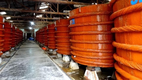 Hai hiệp hội nước mắm truyền thống và mắm công nghiệp đồng thời được thành lập 