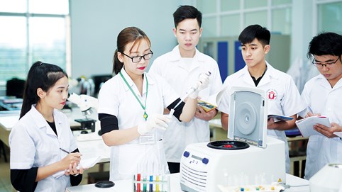 Các chính sách pháp luật mới có hiệu lực từ đầu tháng 1/11/2021