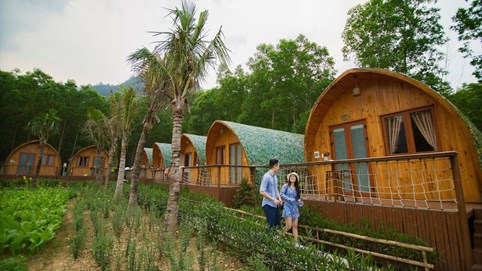 Trào lưu farmstay có theo 'vết xe đổ' condotel?