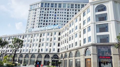 Apec Group và những giao dịch chồng chéo giữa các công ty liên quan