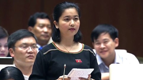 Nữ đại biểu Gia Lai: Bộ trưởng vẫn tiếp tục ủng hộ việc phát triển thủy điện nhỏ đúng không?