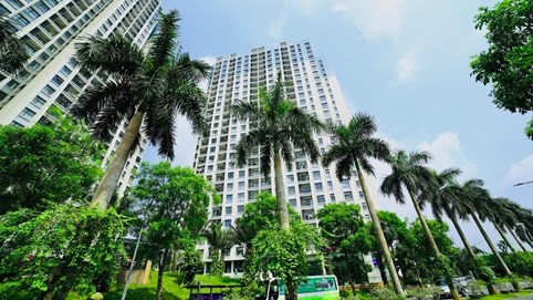 Làn sóng Bắc tiến của loạt đại gia bất động sản phía Nam 