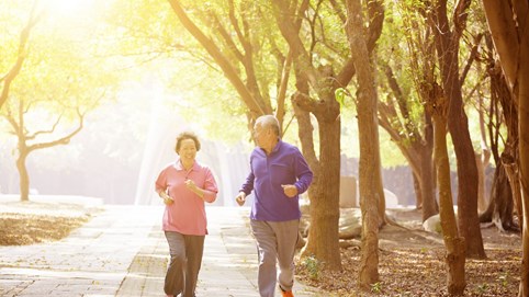 Các thửa đất nhỏ hẹp được ưu tiên sử dụng vào mục đích công cộng