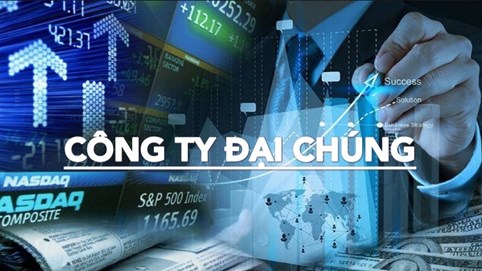 Vocarimex và Bao bì Biên Hòa chính thức hủy tư cách công ty đại chúng khi tỷ lệ sở hữu nhỏ lẻ xuống thấp kỷ lục
