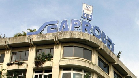 Hai pháp nhân liên quan hệ sinh thái Novaland (NVL) chi gần 1.400 tỷ đồng sở hữu Seaprodex (SEA) và 'game' đất vàng Đồng Khởi