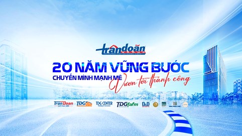 Trần Doãn Group nợ thuế hơn 280 tỷ đồng dù từng nhận bằng khen