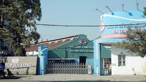 Đồ hộp Hạ Long (CAN) lên tiếng về thông tin tuồn hơn 100 tấn thịt heo bệnh vào nhà máy