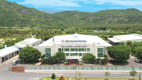 Sanest Khánh Hòa (SKH): Lợi nhuận 2024 chạm đáy 7 năm, đặt mục tiêu tăng trưởng 15% năm 2025