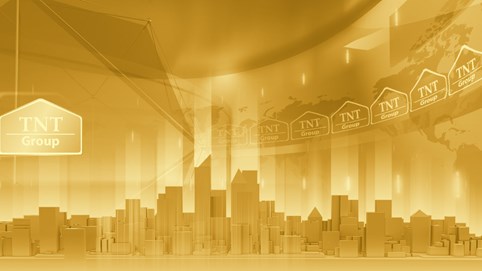 TNT Group: Ban Kiểm soát đồng loạt từ nhiệm, lợi nhuận 2024 'chạm đáy' thập kỷ