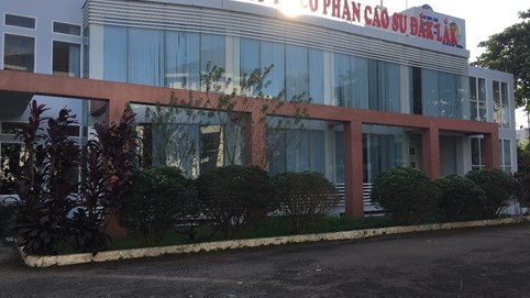 Cao su Đắk Lắk (DRG) giảm tỷ lệ sở hữu tại Đầu tư Cao su Đắk Lắk (DRI) xuống 45%