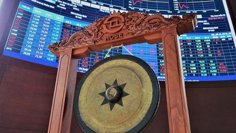 Nhiều doanh nghiệp lớn rục rịch lên sàn HoSE