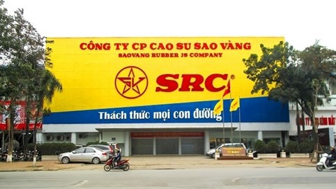 Cao su Sao Vàng (SRC): Lợi nhuận sau kiểm toán năm 2024 tăng 21% nhờ điều chỉnh chi phí thuế