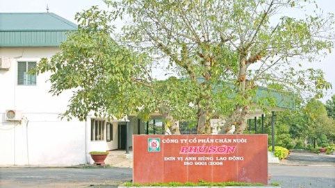 Chăn nuôi Phú Sơn (PSL) báo lãi quý 1 giảm, dừng dự án trang trại heo lớn