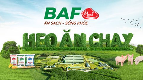 BaF Việt Nam (BAF) tiếp tục chào bán 11,5 triệu cổ phiếu BAF chưa phân phối hết trong đợt phát hành riêng lẻ