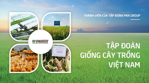 Vinaseed (NSC) đặt mục tiêu lợi nhuận kỷ lục 310 tỷ đồng trong năm đầu tiên dưới thời chủ tịch mới