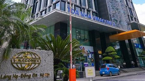 Thành viên Hội đồng quản trị độc lập Vinaconex (VCG) Trần Thị Thu Hồng xin từ nhiệm