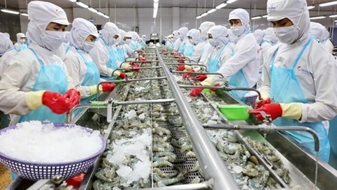 Thực phẩm Sao Ta (FMC) đặt mục tiêu doanh thu kỷ lục mới, lợi nhuận dự kiến đi ngang