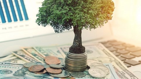 Xu hướng chia cổ tức tiền mặt lan rộng trong ngành ngân hàng