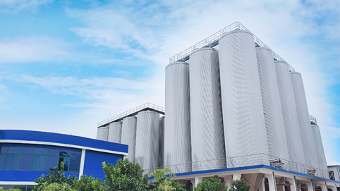 Bia Hạ Long (HLB) báo lãi sau thuế năm 2024 đạt mức cao nhất lịch sử