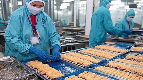 Sao Ta (FMC): Doanh số quý 1/2025 tăng gần 42%, đặt mục tiêu lợi nhuận đi ngang
