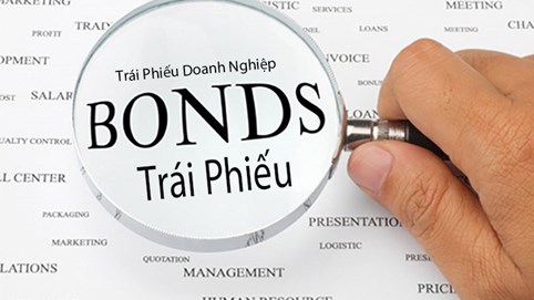 Thương mại Việt An ngắt mạch thua lỗ với lợi nhuận gần 80 tỷ đồng, nợ phải trả vượt 9.200 tỷ