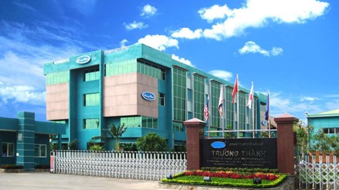 Lợi nhuận Gỗ Trường Thành (TTF) giảm 51% sau kiểm toán 2024, còn hơn 6 tỷ đồng