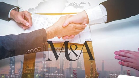 Thị trường PE Việt Nam 2025: Kỳ vọng định giá tăng vọt, dòng tiền hướng về Y tế, Công nghệ sau năm 2024 'ảm đạm'?