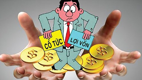 CTCP Cơ khí và Thiết bị áp lực - VVMI chốt trả cổ tức bằng tiền với tỷ lệ 12%