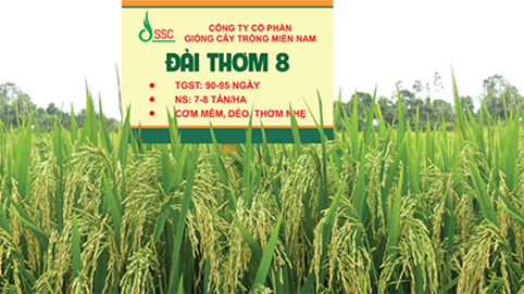 Giống cây trồng Miền Nam (SSC) đặt mục tiêu lãi sau thuế 2025 tăng 34%, trình cổ tức tiền mặt 30%