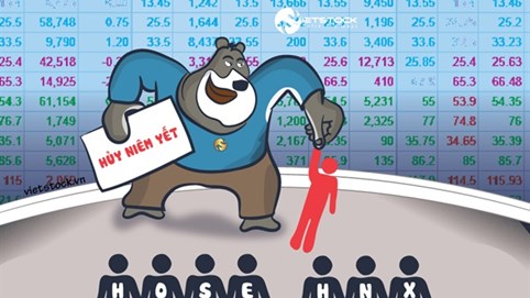 Các doanh nghiệp bị hủy niêm yết bắt buộc trên HoSE