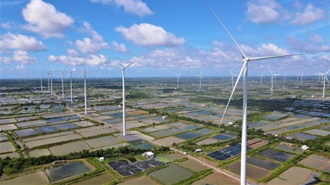 Lỗ lũy kế 379 tỷ, nợ phải trả 2.800 tỷ tại Điện gió Hòa Đông 2 sau khi dự án nghìn tỷ vận hành