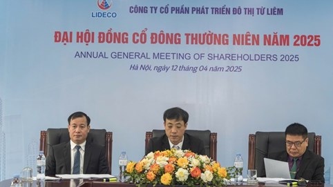 ĐHĐCĐ 2025 Lideco (NTL): Đặt kế hoạch lợi nhuận 2025 giảm 96% do không có dự án bán hàng, đã giải ngân 300 tỷ vào chứng khoán