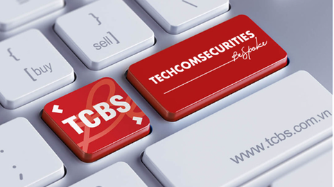 TCBS huy động 500 tỷ đồng trái phiếu, đặt mục tiêu lãi 2025 tăng 20%, dự kiến phát hành riêng lẻ 118,8 triệu cổ phiếu
